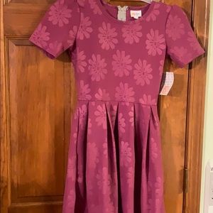 New Lularue Amelia Dress XS MWT